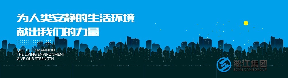 安徽合肥京东方B9橡胶接头安装现场